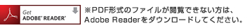 ADOBE READER